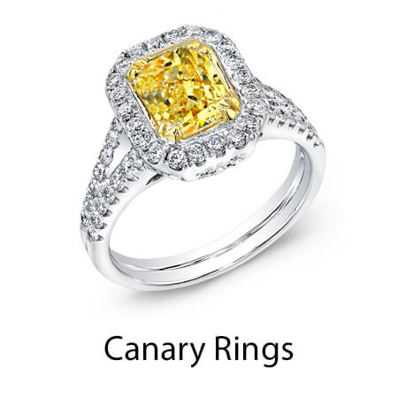 canary rings houston